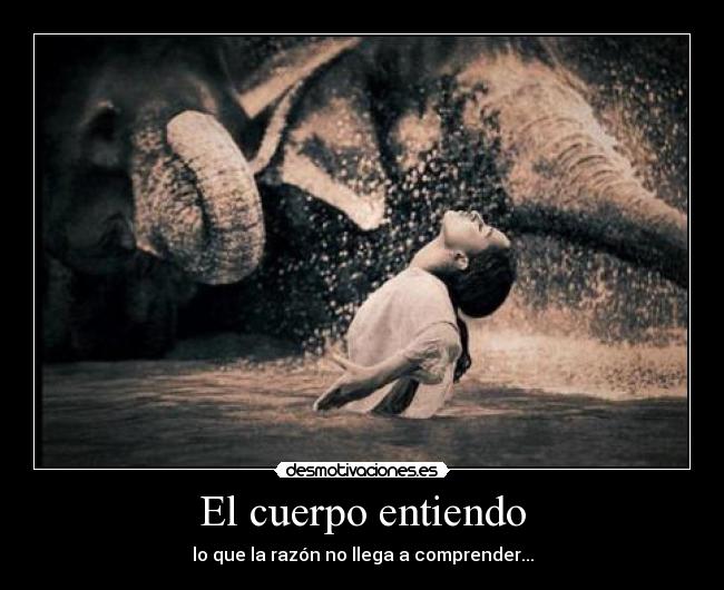 El cuerpo entiendo - 