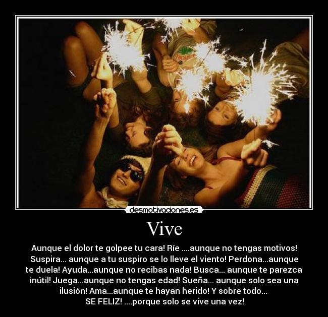 Vive - 