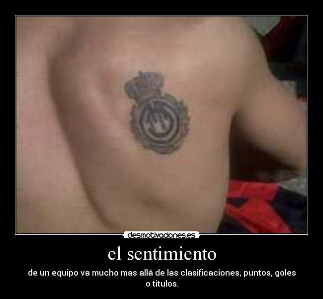 carteles equipo desmotivaciones