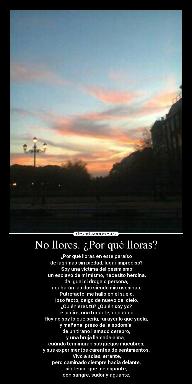 No llores. ¿Por qué lloras? -