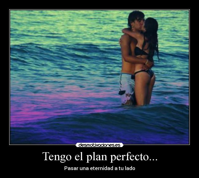 Tengo el plan perfecto... - 