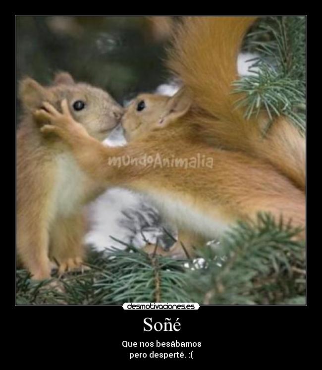 Soñé - Que nos besábamos
pero desperté. :(