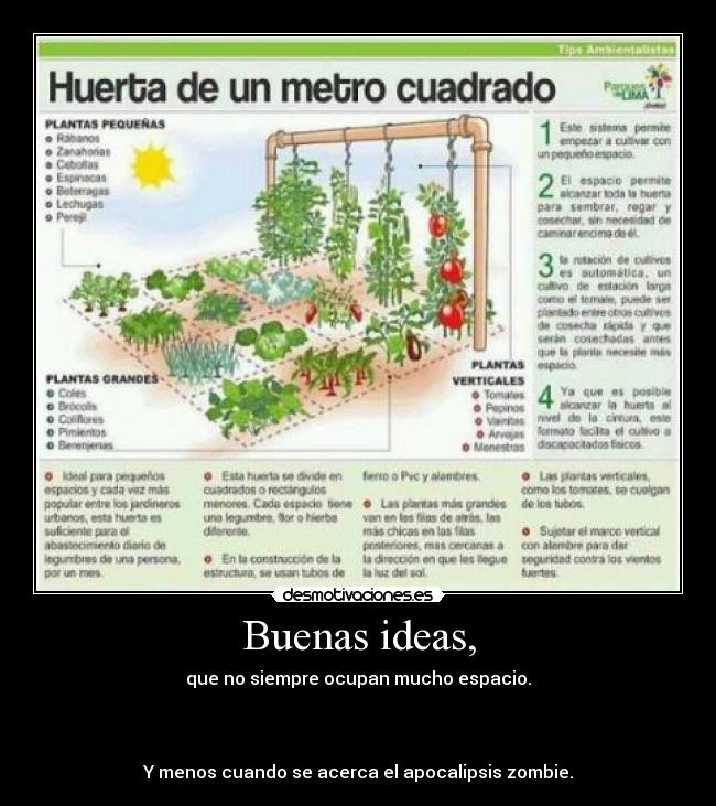 carteles ideas huerto legumbres metro cuadrado perfecto para apocalipsis zombie desmotivaciones