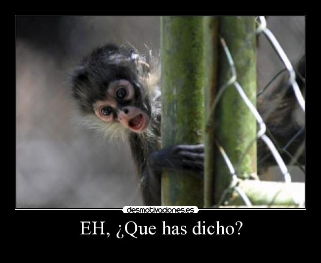 EH, ¿Que has dicho? -