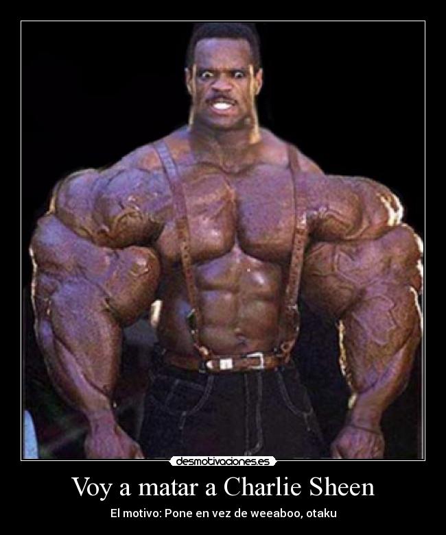 Voy a matar a Charlie Sheen - El motivo: Pone en vez de weeaboo, otaku