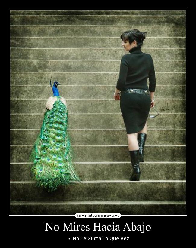No Mires Hacia Abajo - Si No Te Gusta Lo Que Vez
