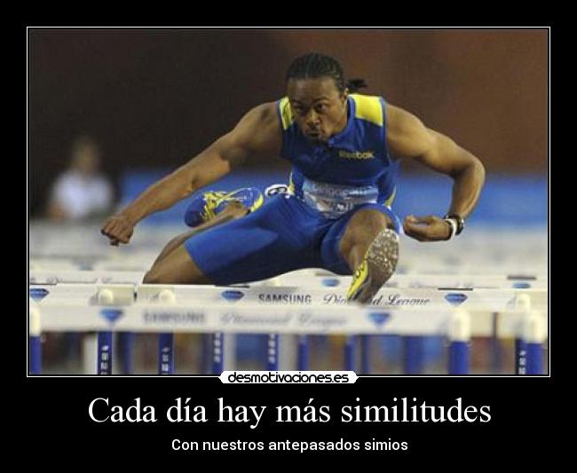 Cada día hay más similitudes - 