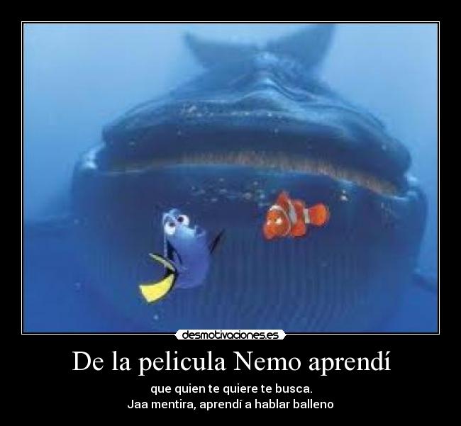 carteles buscando nemo balleno dori pelicula dibujos animados hablar desmotivaciones