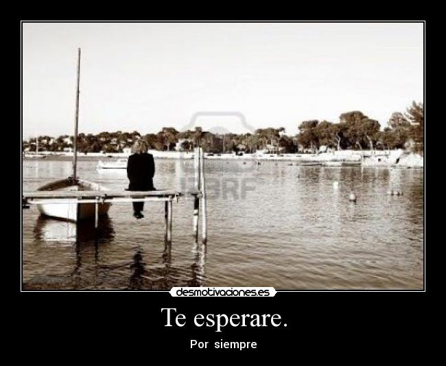 Te esperare. -