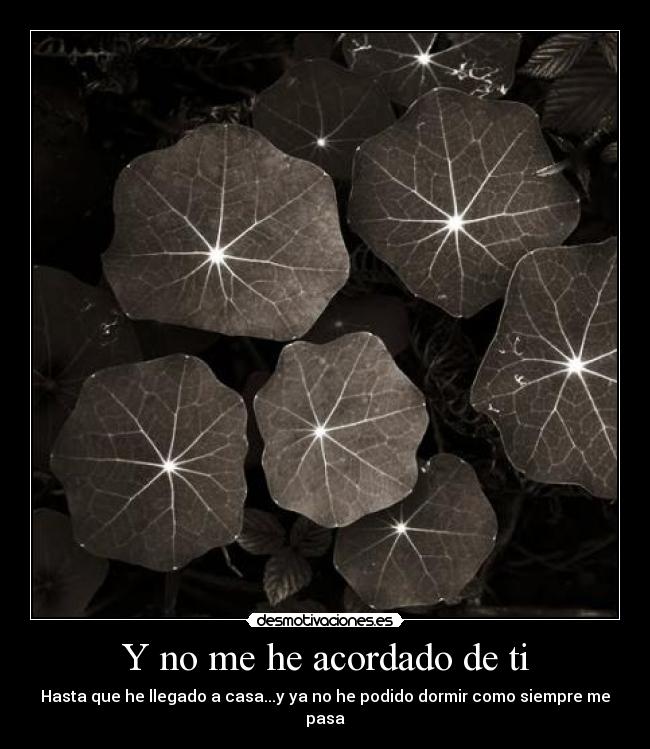 Y no me he acordado de ti - Hasta que he llegado a casa...y ya no he podido dormir como siempre me pasa