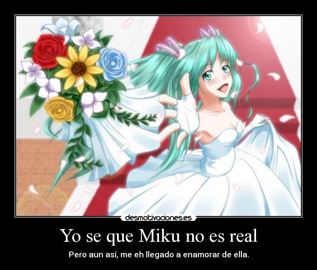 Yo se que Miku no es real -