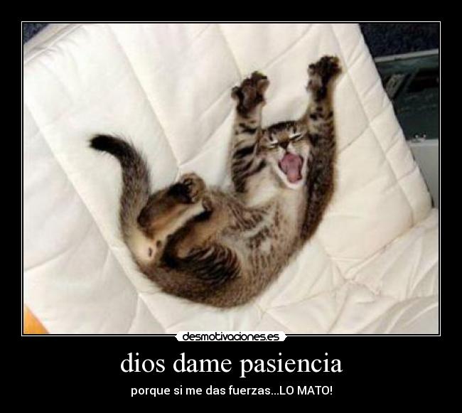 dios dame pasiencia - porque si me das fuerzas...LO MATO!