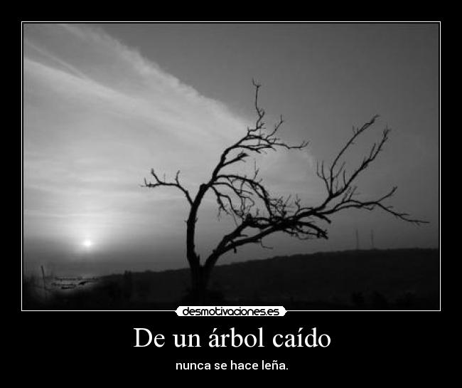 De un árbol caído - 