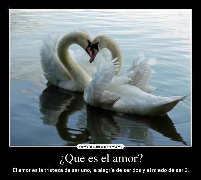 ¿Que es el amor? - 