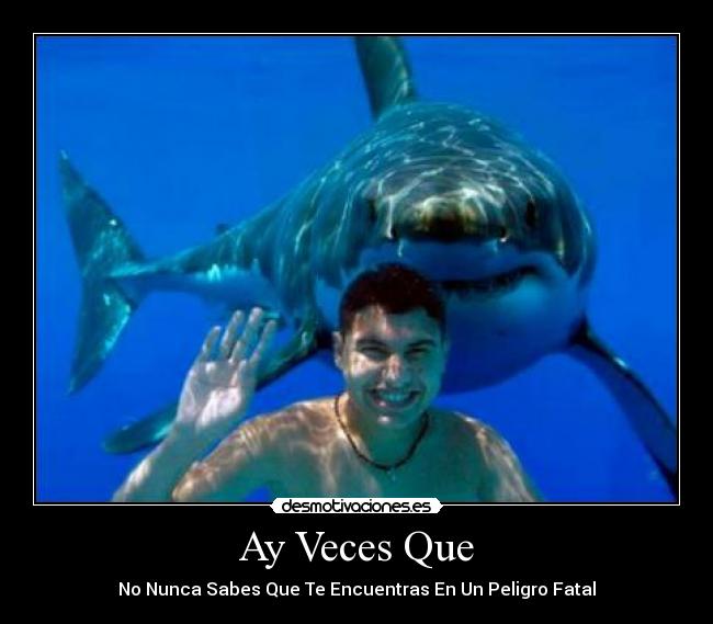 Ay Veces Que - No Nunca Sabes Que Te Encuentras En Un Peligro Fatal