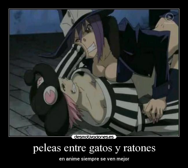 peleas entre gatos y ratones -