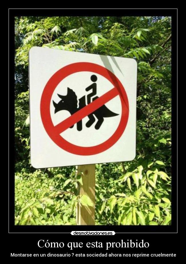 Cómo que esta prohibido - 