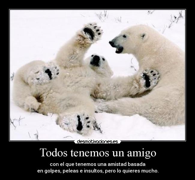 Todos tenemos un amigo - con el que tenemos una amistad basada
en golpes, peleas e insultos, pero lo quieres mucho.