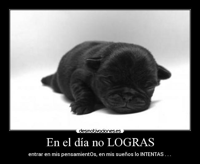 En el día no LOGRAS - entrar en mis pensamientOs, en mis sueños lo INTENTAS . . . 