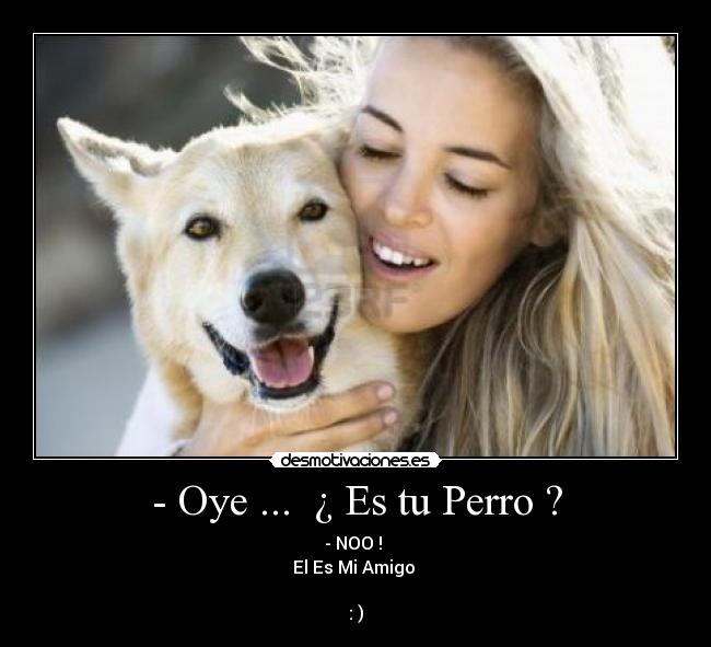 - Oye ...  ¿ Es tu Perro ? - 