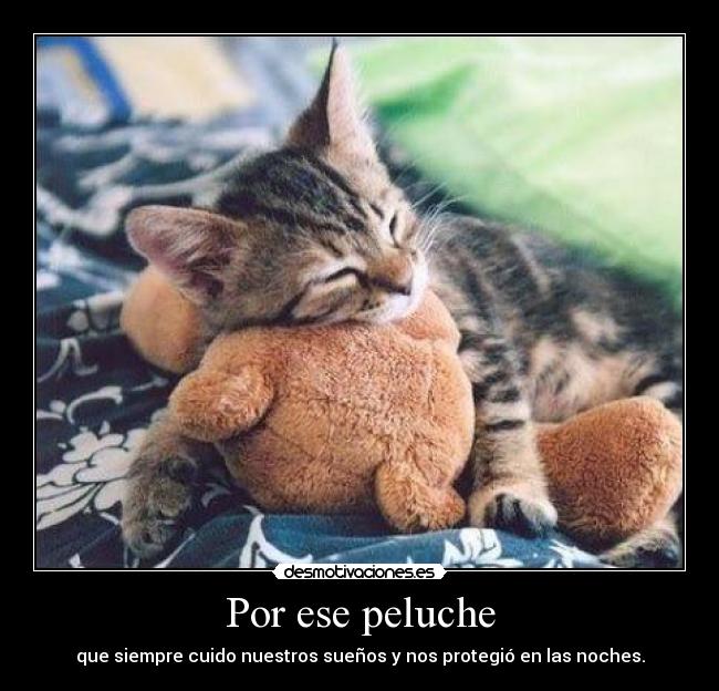 Por ese peluche -