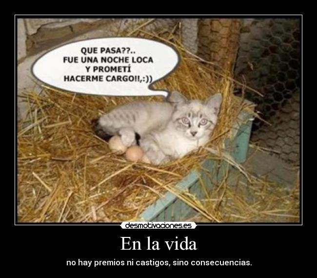En la vida - no hay premios ni castigos, sino consecuencias.