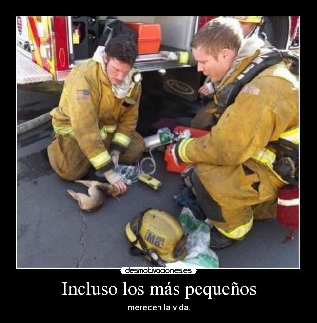 Incluso los más pequeños -