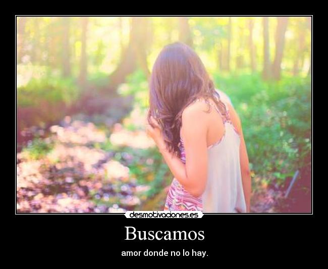 Buscamos - amor donde no lo hay.