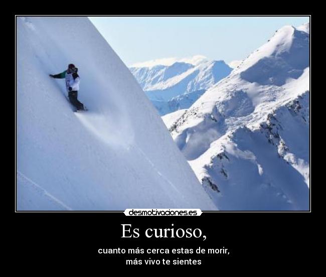 Es curioso, - cuanto más cerca estas de morir,
más vivo te sientes