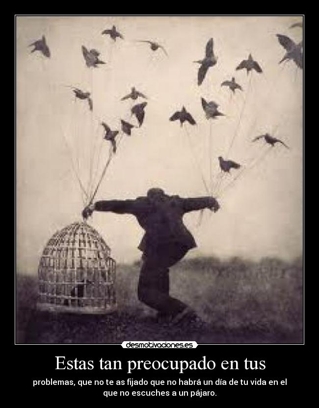 Estas tan preocupado en tus -
