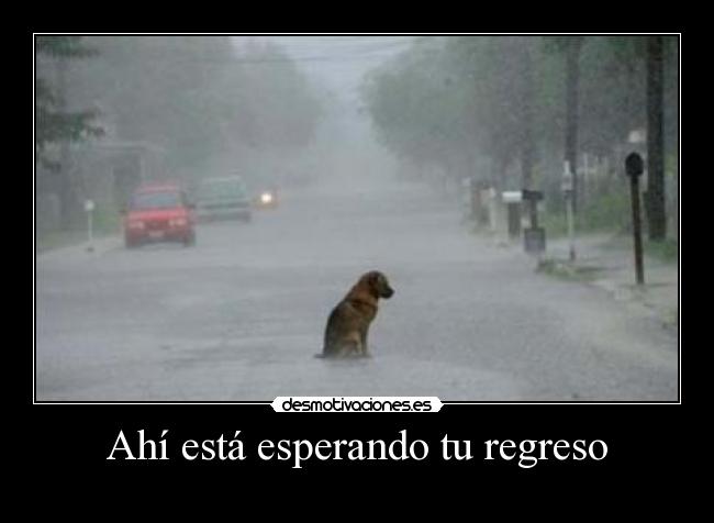 Ahí está esperando tu regreso -