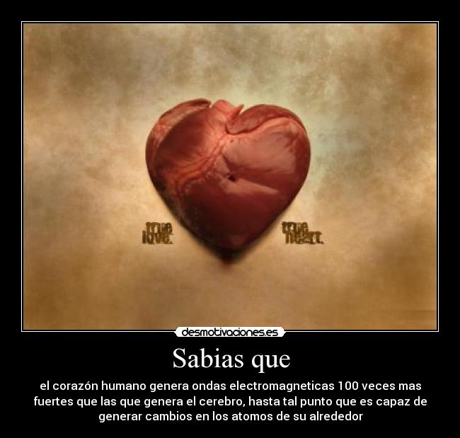 Sabias que - el corazón humano genera ondas electromagneticas 100 veces mas
fuertes que las que genera el cerebro, hasta tal punto que es capaz de
generar cambios en los atomos de su alrededor