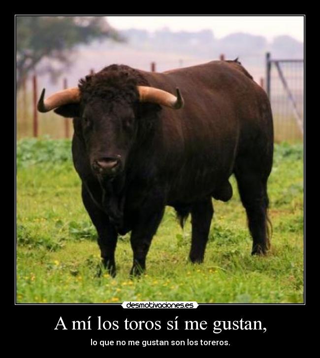 A mí los toros sí me gustan, - lo que no me gustan son los toreros.