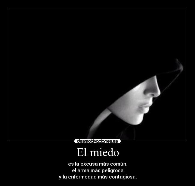 carteles miedo miedo excusa desmotivaciones