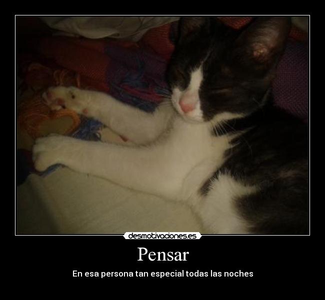 carteles desmotivaciones