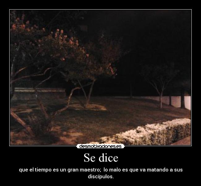 Se dice - 