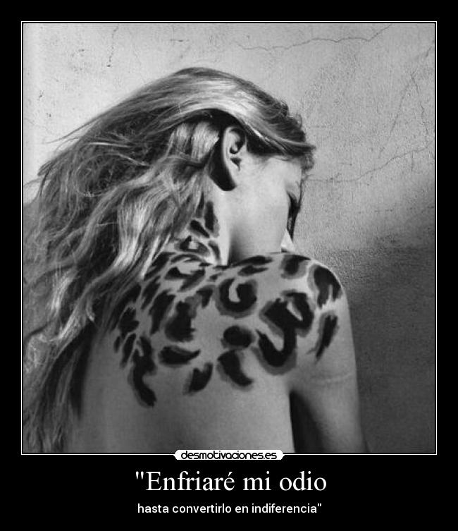 Enfriaré mi odio - hasta convertirlo en indiferencia