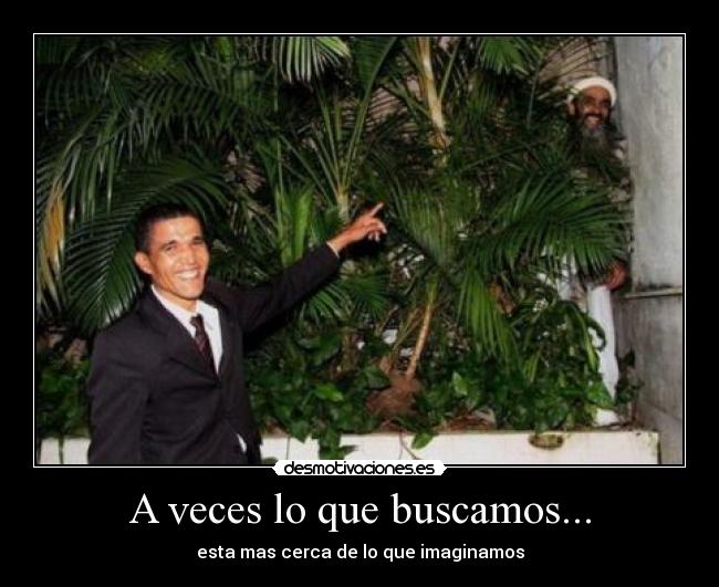 carteles fgfgfg desmotivaciones