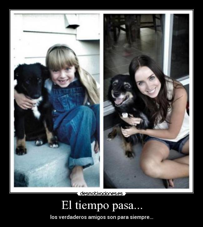 carteles fgfgf desmotivaciones