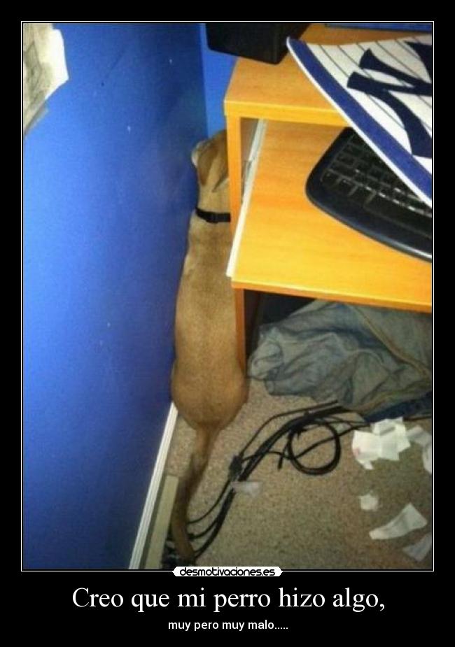 carteles fvfv desmotivaciones