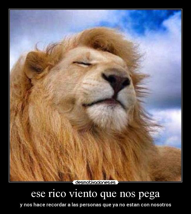 ese rico viento que nos pega - 