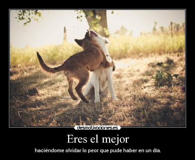 Eres el mejor - haciéndome olvidar lo peor que pude haber en un día.