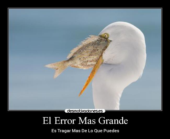 El Error Mas Grande - Es Tragar Mas De Lo Que Puedes