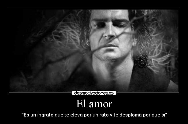 El amor - 