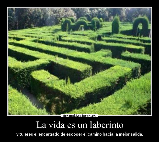 carteles vida vida laberinto eres encargado escoger camino hacia mejor salida desmotivaciones