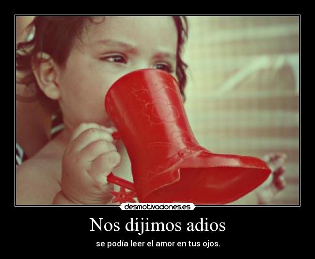 Nos dijimos adios - se podía leer el amor en tus ojos.