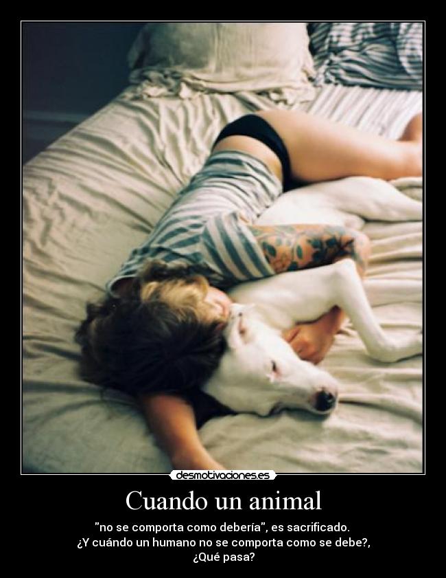 Cuando un animal - 