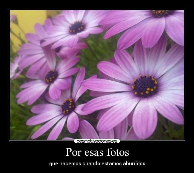 Por esas fotos - 