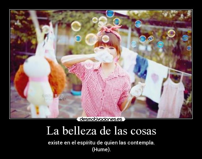 carteles belleza las cosas existe espiritu quien las contempla hume desmotivaciones