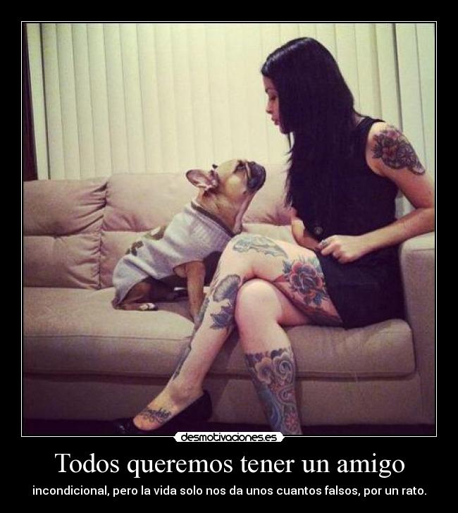 Todos queremos tener un amigo -